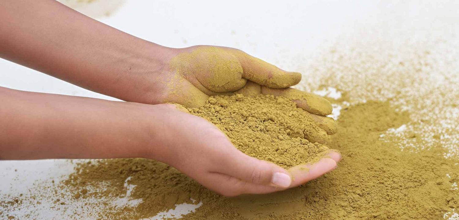 Close-up of Two Hands Holding a Pile of Fresh Henna Powder.