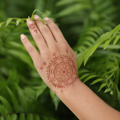Big Bad Starter Henna Tattoo Kit for Beginning Henna Artists