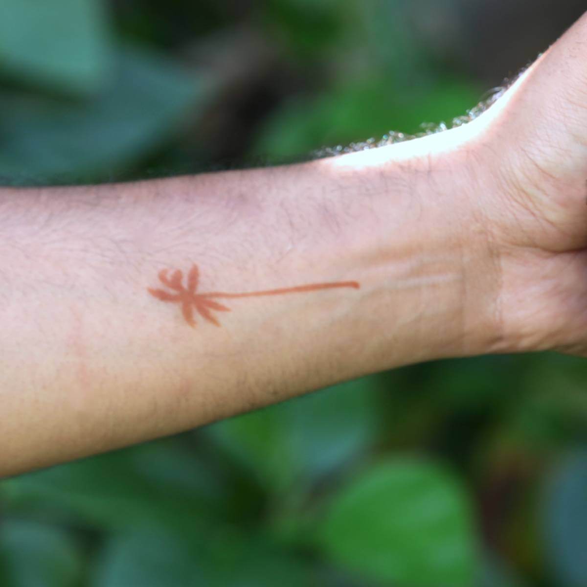 Sun - small palm tree temporary tattoo on arm